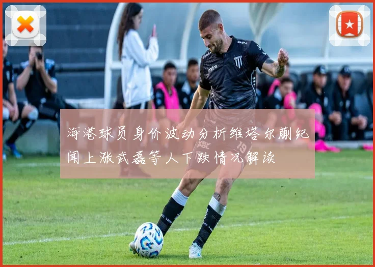 海港球员身价波动分析维塔尔蒯纪闻上涨武磊等人下跌情况解读