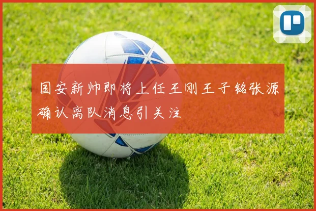 国安新帅即将上任王刚王子铭张源确认离队消息引关注