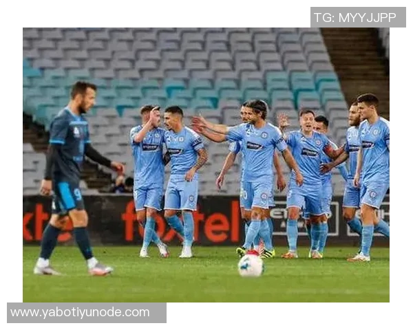 挪威国家队气氛融洽豪门球员众多展现团队精神